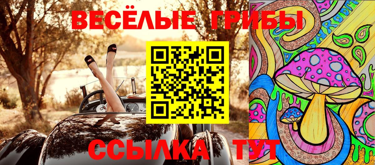 Галлюциногенные грибы Cubensis Орехово-Зуево