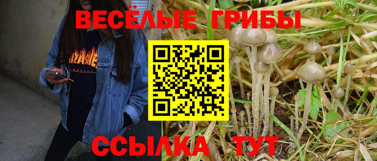 Галлюциногенные грибы мицелий  Галлюциногенные грибы ЛСД  Вход с VPN  Орехово-Зуево 